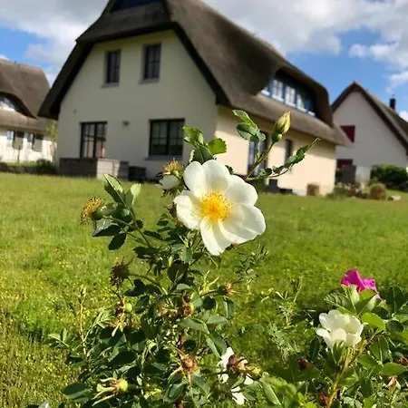 Stilvolles Reetdachhaus Coastline An Der Ostsee