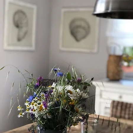 Ferienhaus Stilvolles Reetdachhaus Coastline An Der Ostsee *