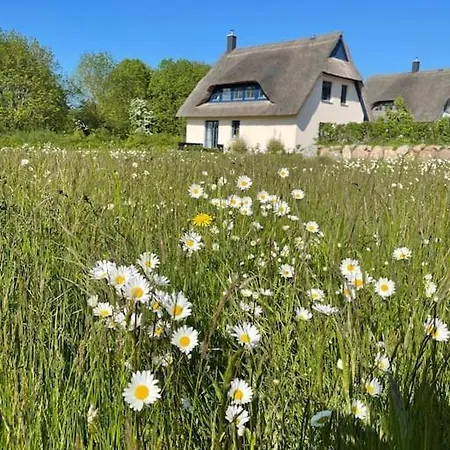 Ferienhaus Stilvolles Reetdachhaus Coastline An Der Ostsee *