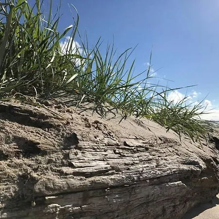 Stilvolles Reetdachhaus Coastline An Der Ostsee Ferienhaus