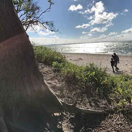 Stilvolles Reetdachhaus Coastline An Der Ostsee