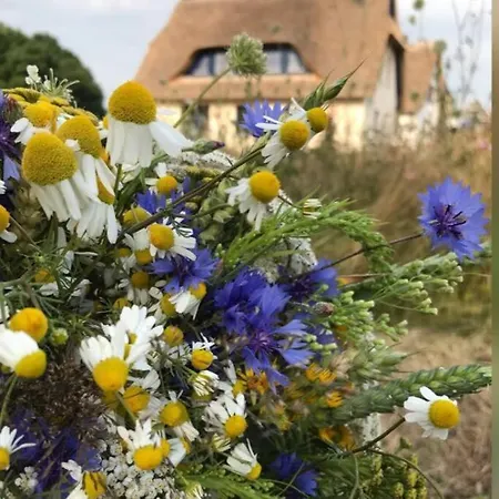 Stilvolles Reetdachhaus Coastline An Der Ostsee Groß Schwansee