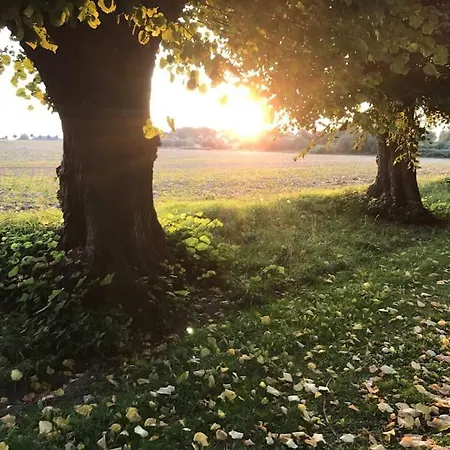 Stilvolles Reetdachhaus Coastline An Der Ostsee Ferienhaus